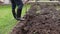 Gardener digs a flower bed with a spade and prepares a groove for manure. Soaking the clay. Country life. Agricultural work. Video