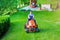 Gardener driving and mowing grass in garden