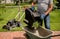 Gardener emptying lawn mower grass into a wheelbarrow after mowing.