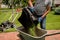 Gardener emptying lawn mower grass into a wheelbarrow after mowing.