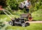 Gardener emptying lawn mower grass into a wheelbarrow after mowing.