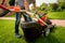 Gardener emptying lawn mower grass into a wheelbarrow after mowing.