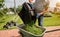 Gardener emptying lawn mower grass into a wheelbarrow after mowing.