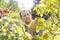 Gardener examining leaves on branch at garden