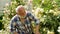 Gardener gardening. Grandfather working in the garden. Professional Gardener at Work.