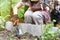 Gardener hand planting in backyard garden, Woman in gloves using hand shovel tool for seedling, Soil preparation