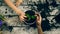 Gardener hands close-up. Planting summer flowers in pots. People, gardening, flower planting and profession concept