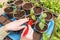 Gardener Hands with little plantin pots. Growing, seeding, planting, transplant seedling, homeplant, vegetables at home