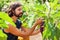 Gardener harvesting an eggplan