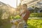 The gardener harvesting lettuce at vegetable growing house in morning.