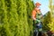 Gardener with Hedge Trimmer