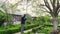 Gardener in helmet trims trees in garden. protection from falling down branches