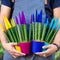 Gardener holding painted Sansevieria velvet