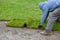 Gardener installing natural grass turf professional installer beautiful lawn field