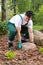 Gardener lifting a stone