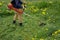 The gardener man mows the grass with yellow dandelions with a hand lawn mower. close up