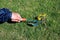 Gardener manually removes weeds on lawn with roots removers tool