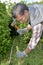 Gardener marking out boundary