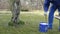 Gardener mix whitewash liquid in blue bucket near apple fruit tree.