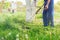 The gardener mows the grass with a trimmer in the spring garden