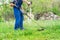The gardener mows the grass with a trimmer in the spring garden