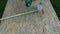 Gardener paint in green new garden rake wooden stick