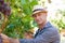 Gardener picking ripe red grapes from grapevine