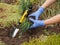 Gardener is planting cloves in a ground on a garden bed