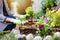 Gardener planting flowers in garden bed