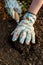 Gardener planting flowers in her flowerbed. Gardening concept. Soil digging. Hand close up.