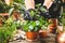 Gardener planting plant cuttings into a pot