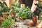 Gardener planting plant cuttings into a pot