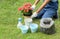 Gardener pouring soil in pot for glowing plants