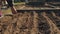 Gardener prepare soil for planting in raised bed on early spring. Home gardening and horticulture