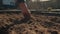 Gardener prepare soil for planting in raised bed on early spring. Home gardening and horticulture