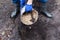 The gardener prepares the ground before planting the bush into the soil