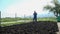 Gardener preparing bio organic cultivated field