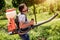 Gardener in protective mask and glasses spraying toxic pesticides trees