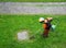 A gardener, with protective mask and work overalls, cuts the grass with a professional trimmer