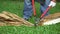 Gardener pruning a dry leaf palm in backyard