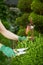 Gardener pruning a topiary in a formal boxtree garden