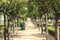 Gardener in a public park in Malaga