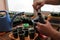 Gardener puts soil by garden tool in container for sowing seeds.