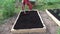 Gardener raking black soil humus in new raised  bed for herbs and flowers