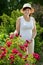 Gardener in roses plant