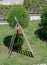Gardener`s ladder standing near green tree in sunny day