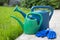 Gardener's set with watering can and gloves for gardening