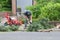 Gardener is sawing trunks with a chainsaw, Netherlands