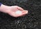 A gardener is scattering mineral fertilizer to the soil in spring to get higher crop yield in the kitchen garden in autumn