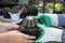 Gardener selling small cactus to customer,cactus is a beautiful shape and variety that is popular for both hobby and commercial cu